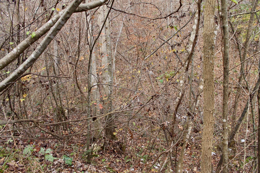 Tract 11 at Autumn Ridge in Leslie County, Kentucky