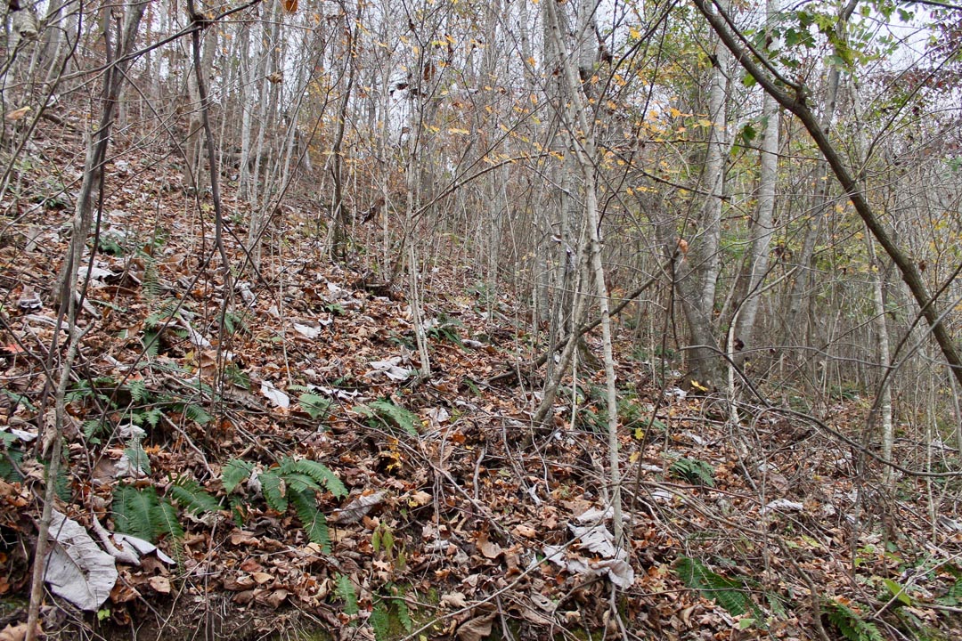 Tract 12 at Autumn Ridge in Leslie County, Kentucky