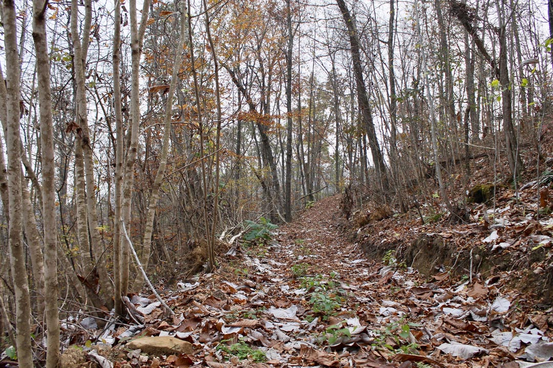 Tract 13 at Autumn Ridge in Leslie County, Kentucky
