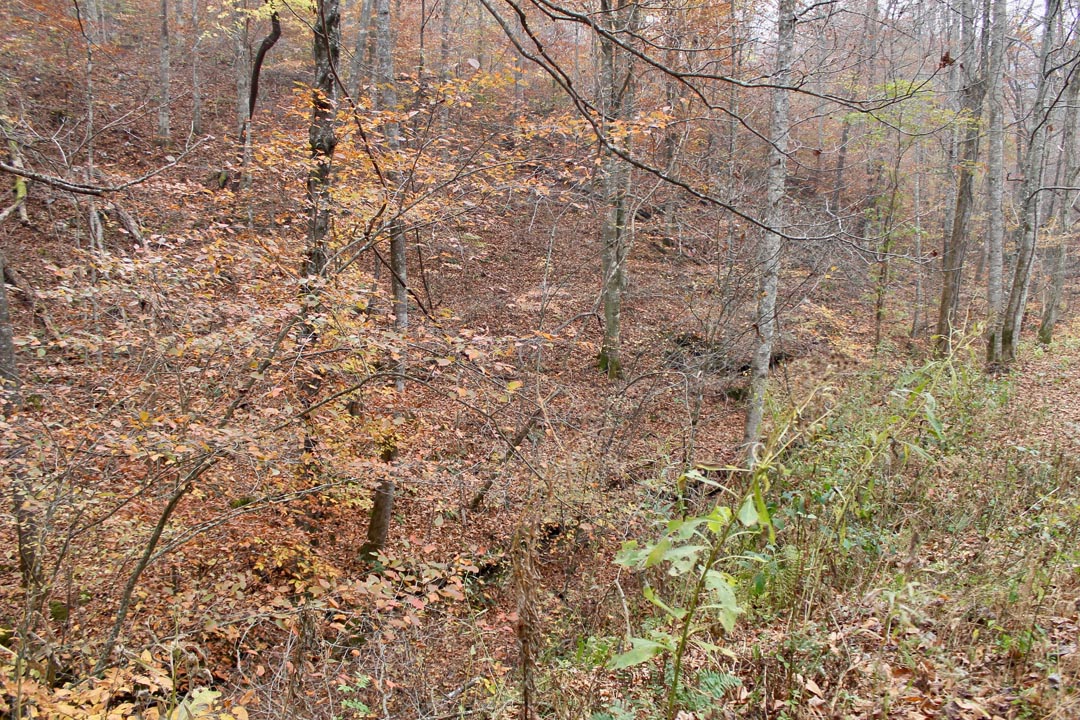 Tract 14 at Autumn Ridge in Leslie County, Kentucky