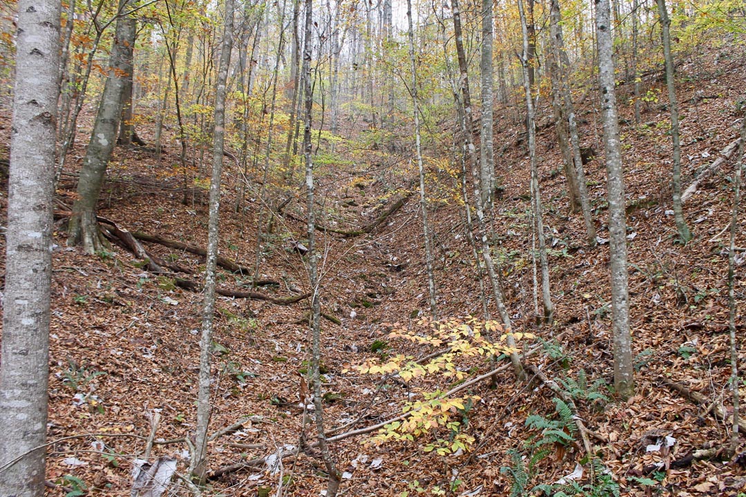 Tract 16 at Autumn Ridge in Leslie County, Kentucky