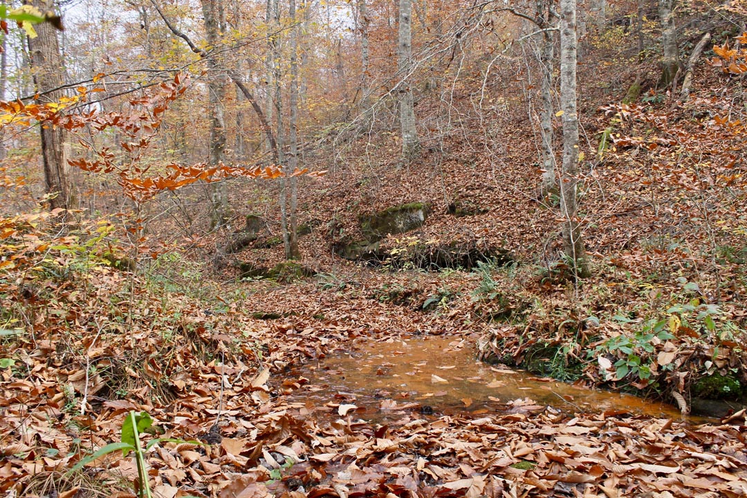 Tract 18 at Autumn Ridge in Leslie County, Kentucky