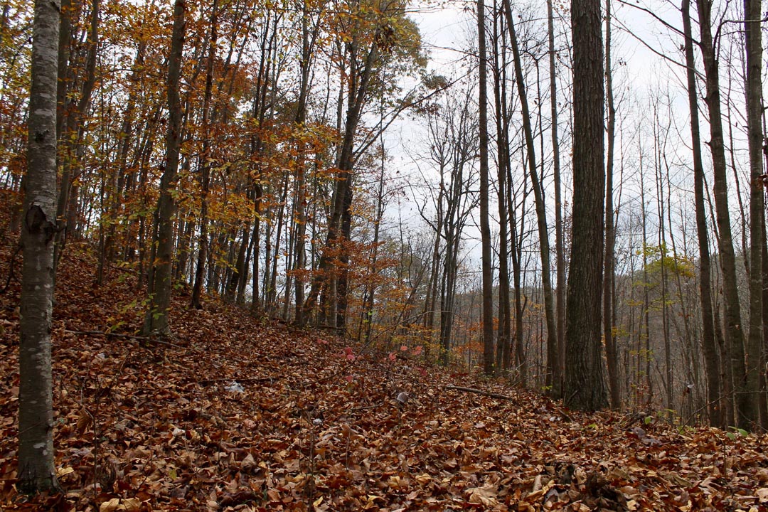Tract 19 at Autumn Ridge in Leslie County, Kentucky