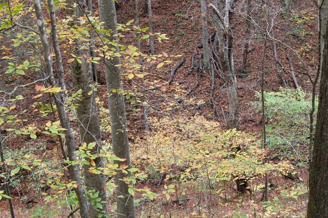 Tract 2 at Autumn Ridge in Leslie County, Kentucky