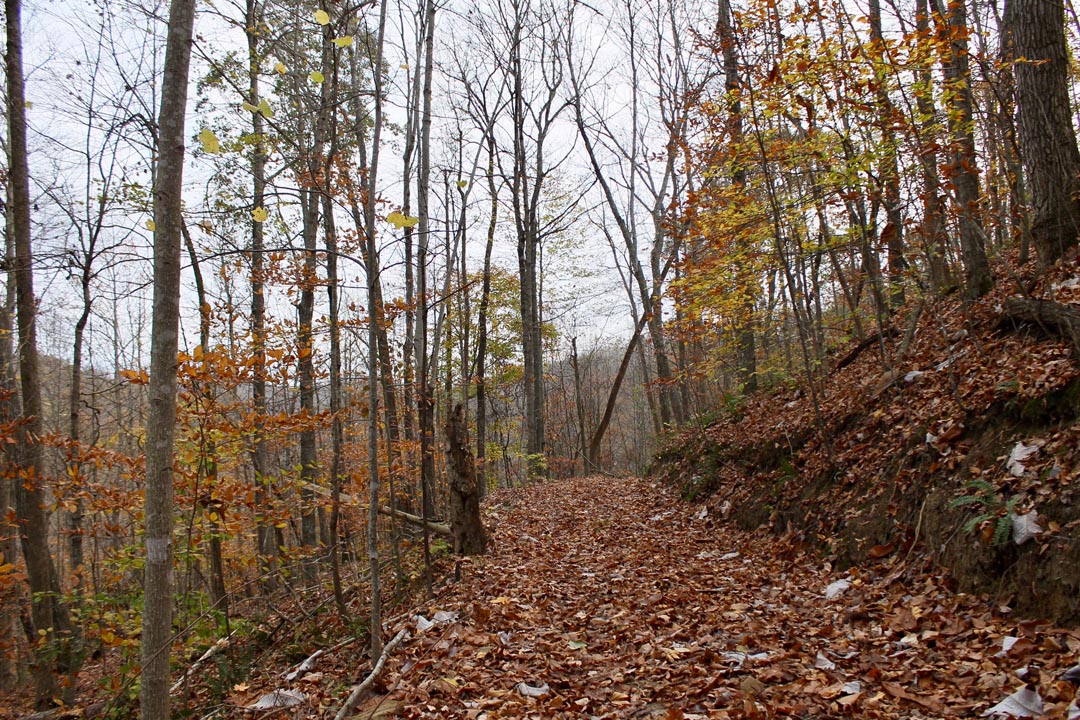 Tract 20 at Autumn Ridge in Leslie County, Kentucky