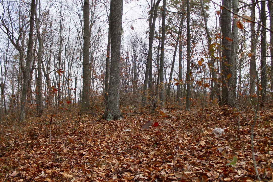 Tract 21 at Autumn Ridge in Leslie County, Kentucky