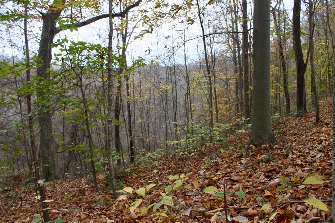 Tract 23 at Autumn Ridge in Leslie County, Kentucky