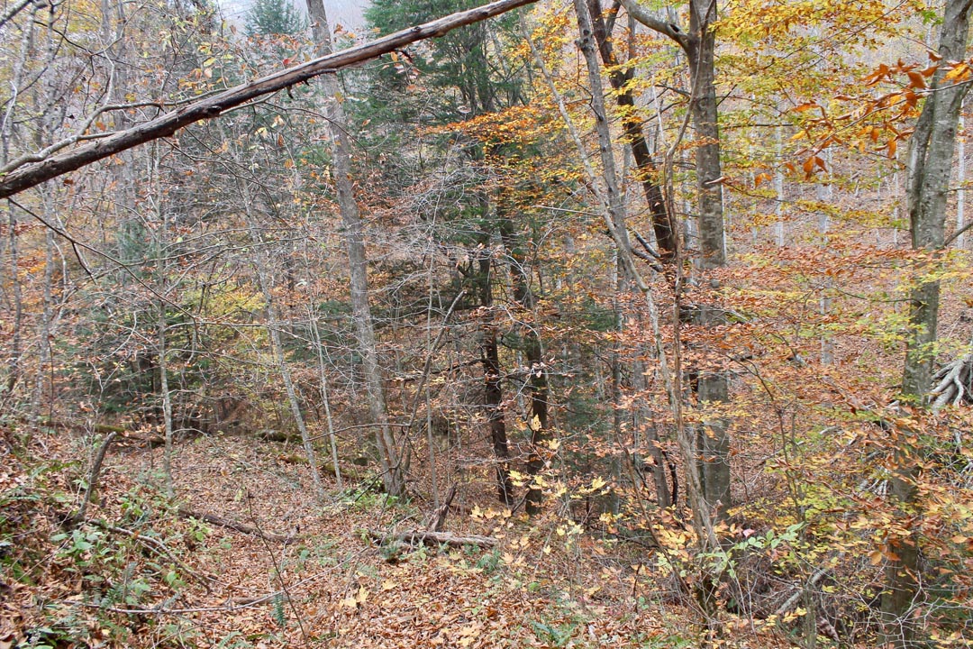 Tract 4 at Autumn Ridge in Leslie County, Kentucky