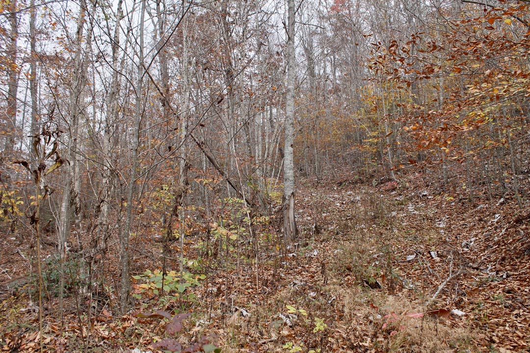 Tract 5 at Autumn Ridge in Leslie County, Kentucky