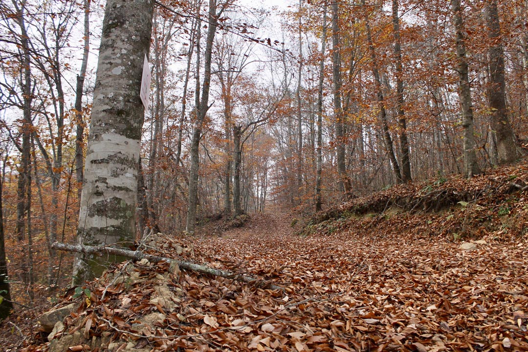 Tract 6 at Autumn Ridge in Leslie County, Kentucky