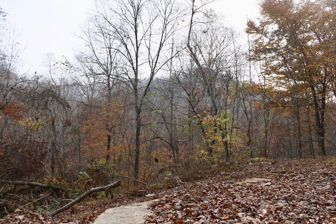 Tract 7 at Autumn Ridge in Leslie County, Kentucky