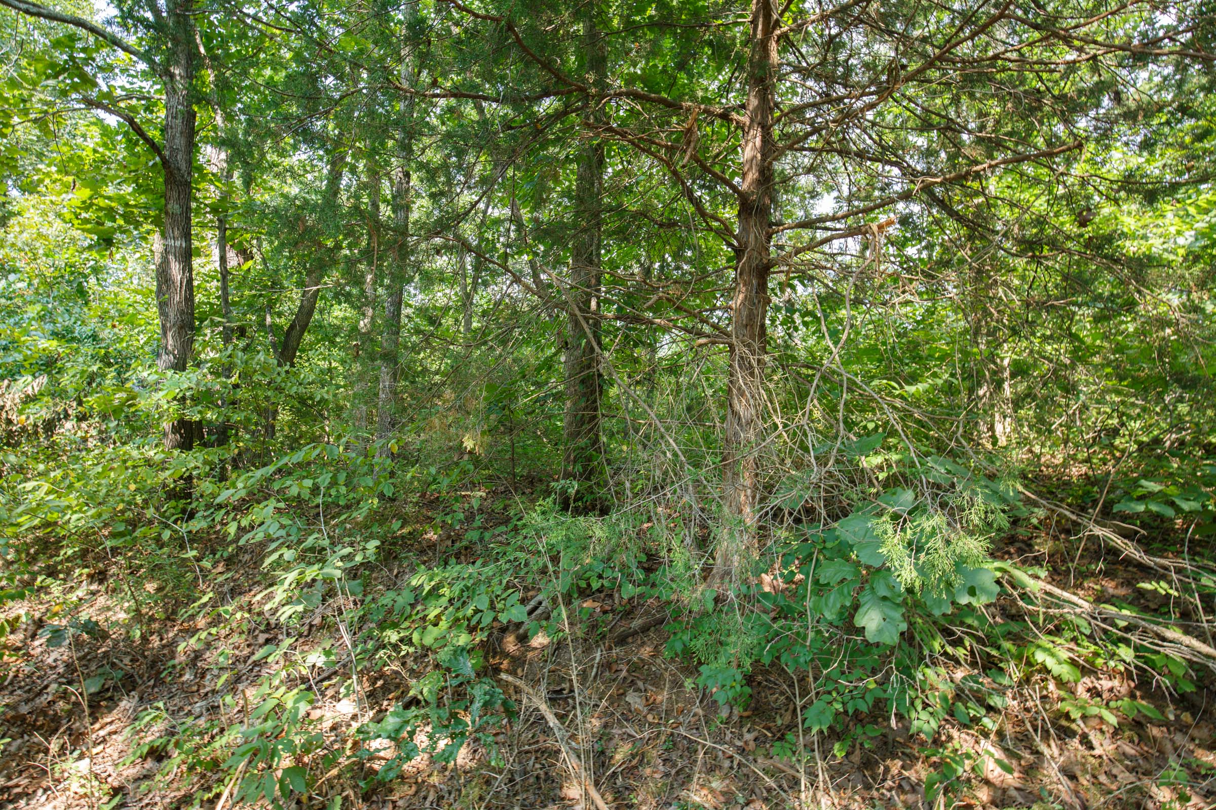 Tract 9 at Springlake in Miller County, Missouri